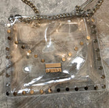 NEW IN The Envy Perspex Bag